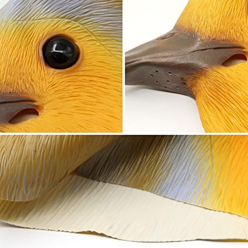 Nouveauté masque d'oiseau capu - Skincare Pigeon avis et prix